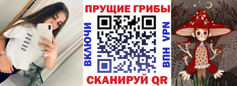 ОМГ ОМГ как войти  Димитровград  Галлюциногенные грибы мухоморы 